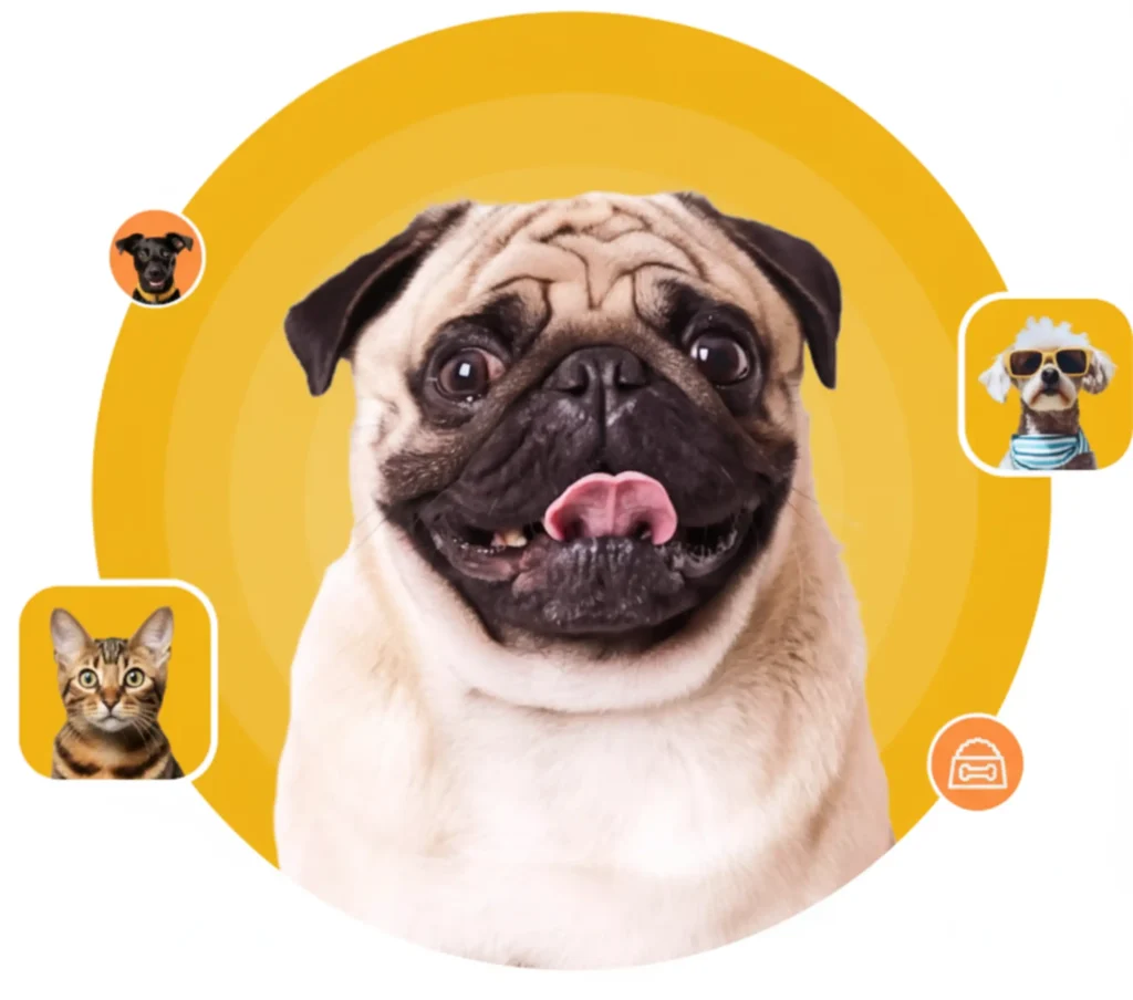 Cão e gatos Pertopet